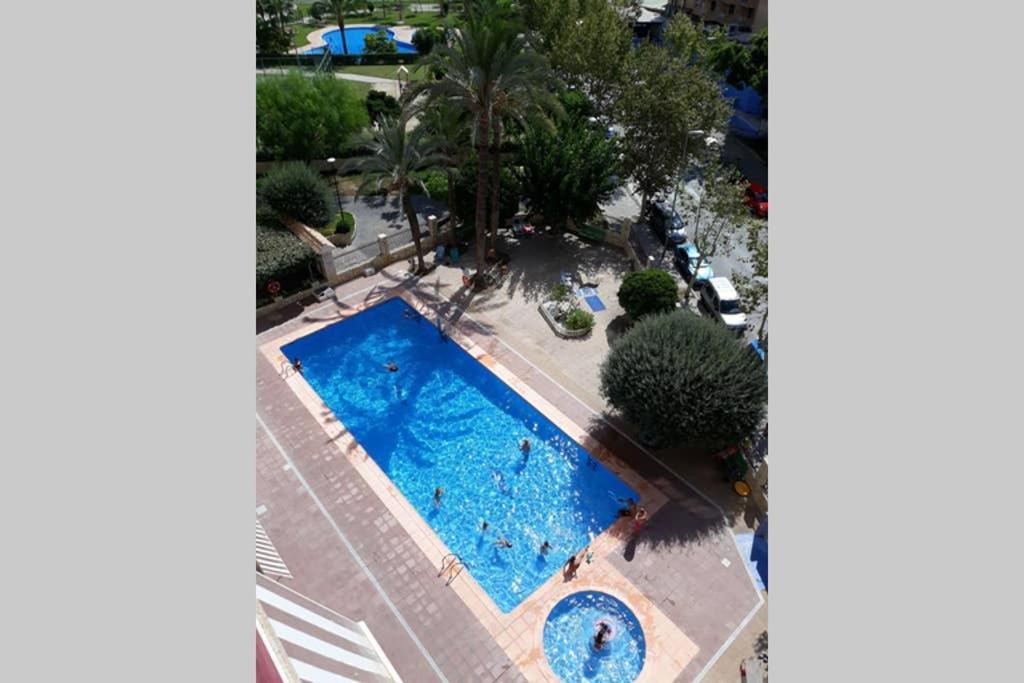 Moby Dick 7B Lejlighed Benidorm Eksteriør billede